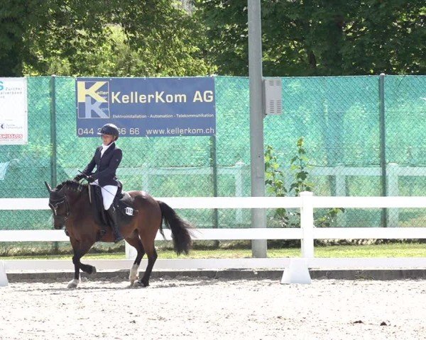 Reitturnier Hüntwangen 2024