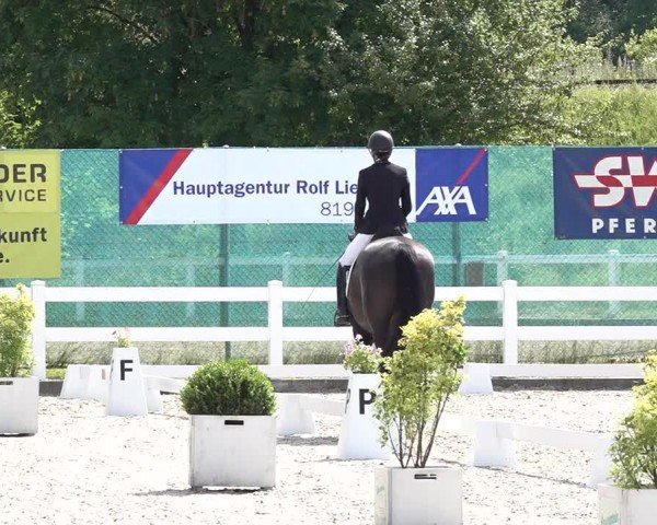Reitturnier Hüntwangen 2024