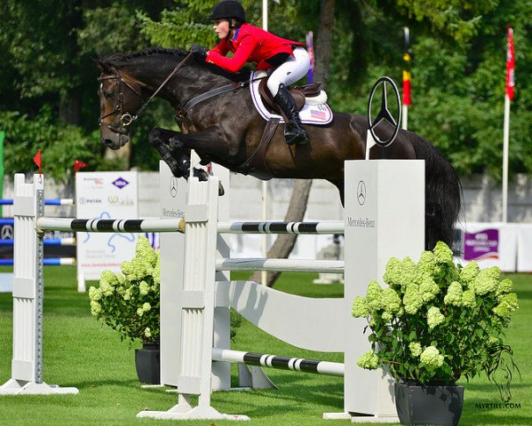 jumper Victor E (KWPN (Royal Dutch Sporthorse), 2002, from Indoctro)