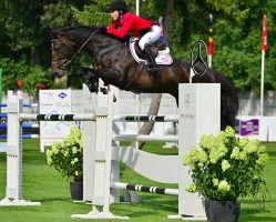 jumper Victor E (KWPN (Royal Dutch Sporthorse), 2002, from Indoctro)