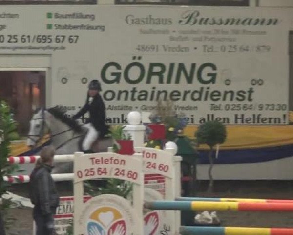 Reitturnier Vreden 2013