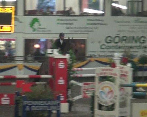 Reitturnier Vreden 2013