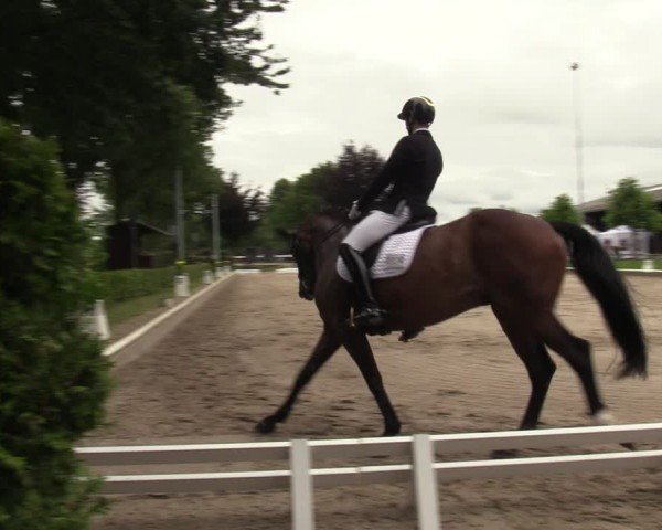 Reitturnier Fröndenberg 2024