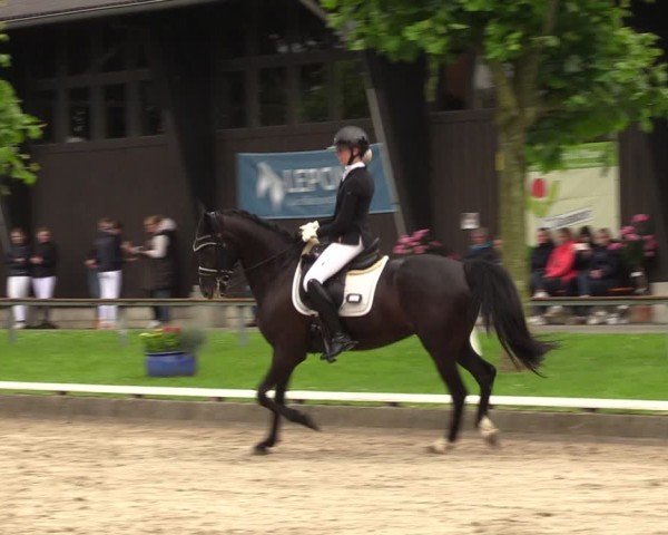 Reitturnier Fröndenberg 2024