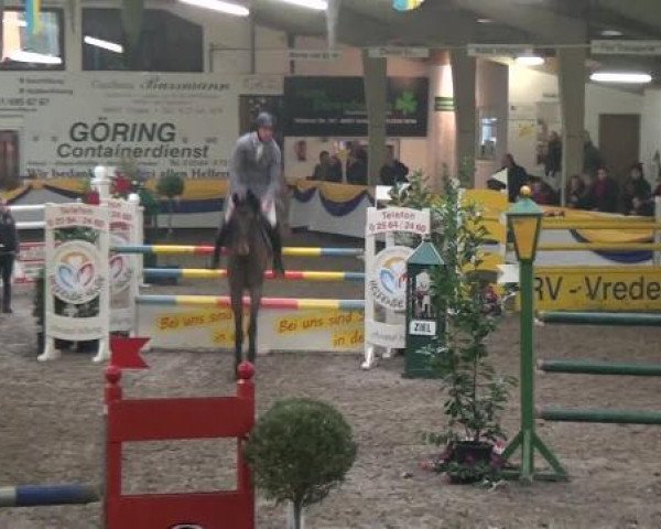 Reitturnier Vreden 2013