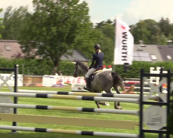 Reitturnier Burgstädt 2024