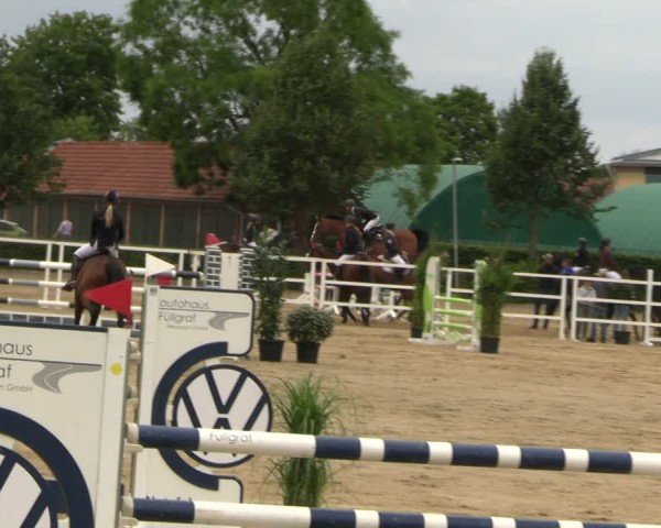 Reitturnier Neustadt/Dosse 2024