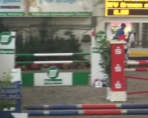 Reitturnier Vreden 2013