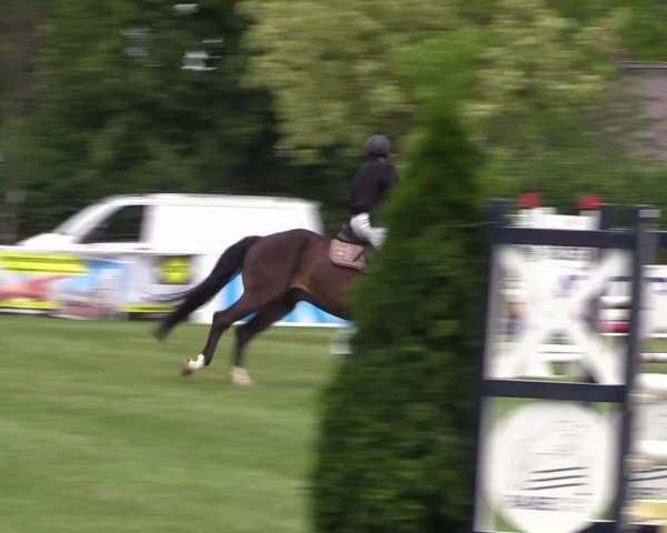 Reitturnier Burgstädt 2024