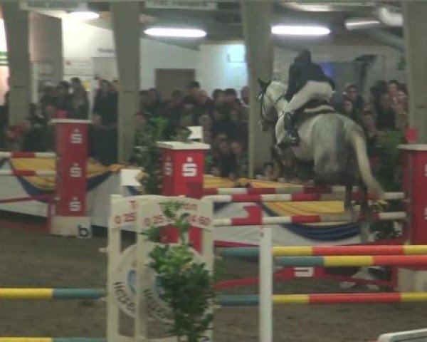 Reitturnier Vreden 2013