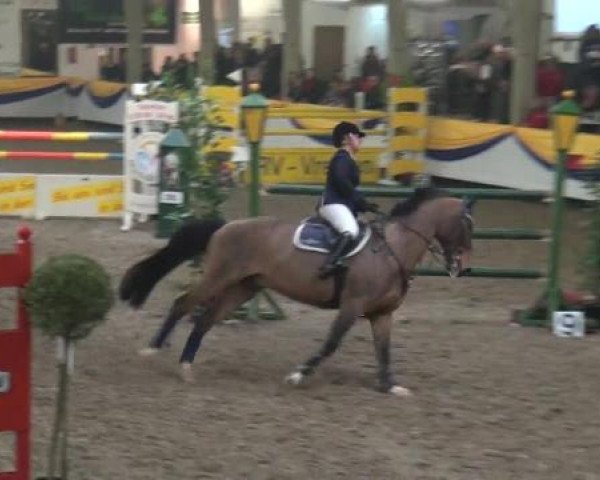 Reitturnier Vreden 2013