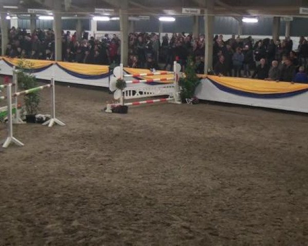 Reitturnier Vreden 2013