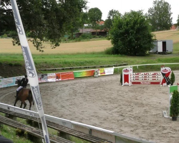 Reitturnier Adelebsen 2024