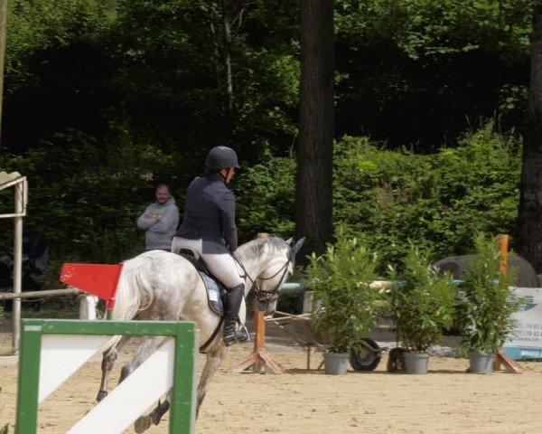 Reitturnier Heddesheim 2024