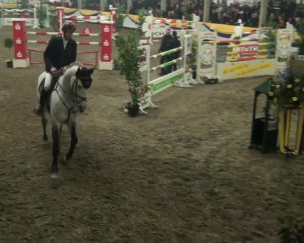 Reitturnier Vreden 2013