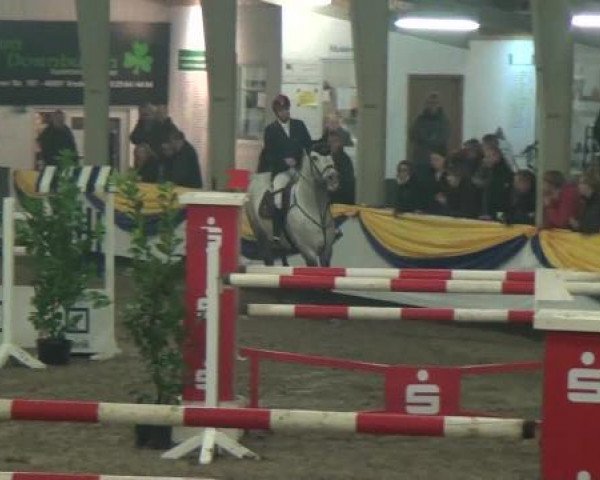 Reitturnier Vreden 2013