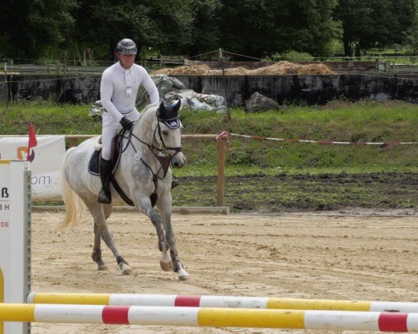 Reitturnier Heddesheim 2024