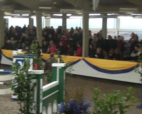 Reitturnier Vreden 2013