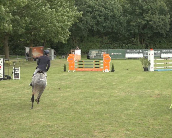 Reitturnier Wohlesbostel 2024