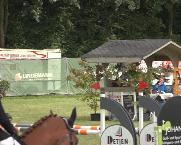 Reitturnier Wohlesbostel 2024