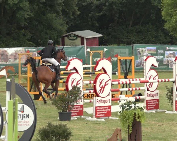 Reitturnier Wohlesbostel 2024