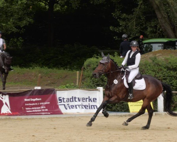 Reitturnier Heddesheim 2024