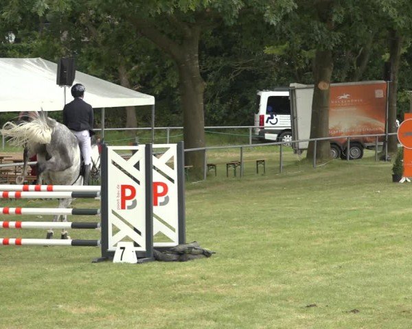 Reitturnier Wohlesbostel 2024