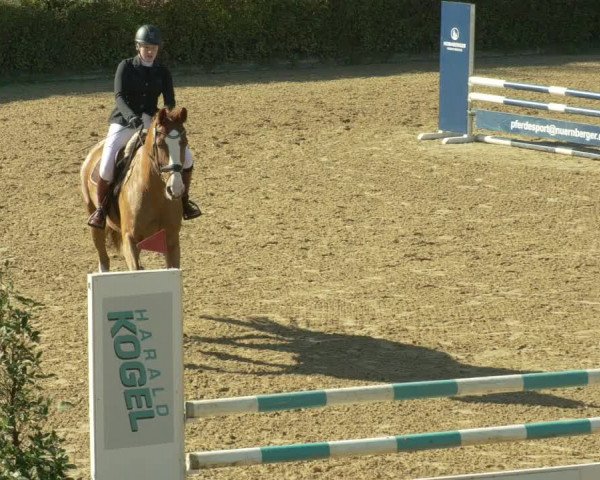 Reitturnier Böblingen 2021