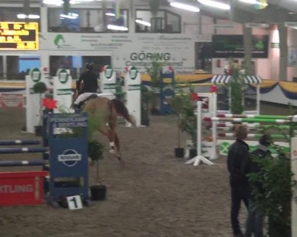 Reitturnier Vreden 2013