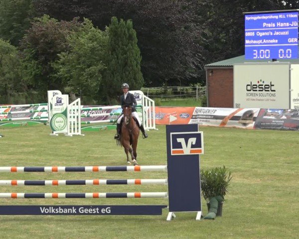 Reitturnier Wohlesbostel 2024