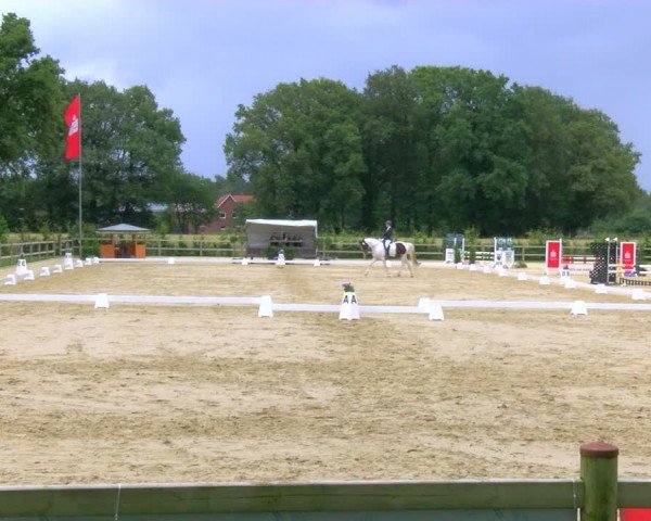 Reitturnier Metelen 2024