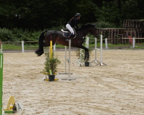 Reitturnier Heddesheim 2024