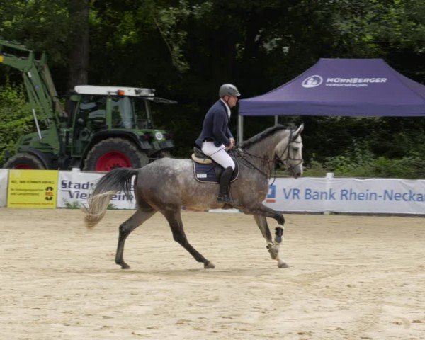 Reitturnier Heddesheim 2024