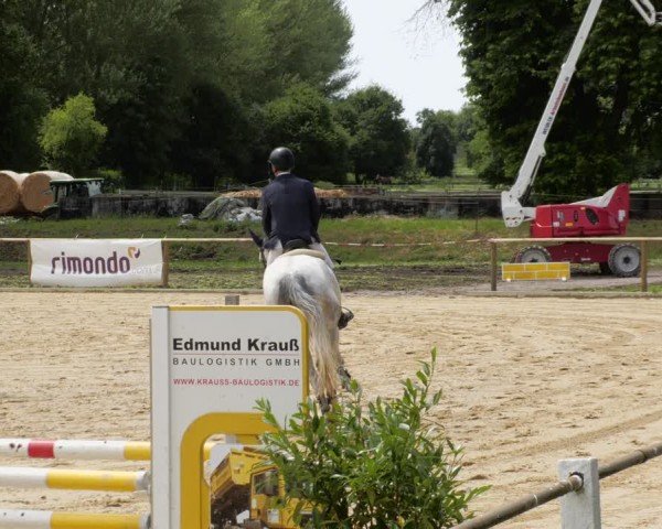 Reitturnier Heddesheim 2024