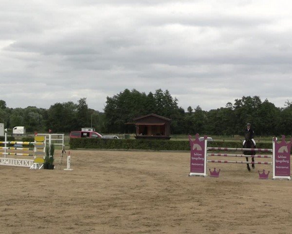 Reitturnier Neustadt/Dosse 2024