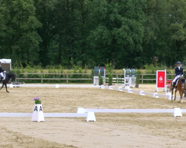 Reitturnier Metelen 2024