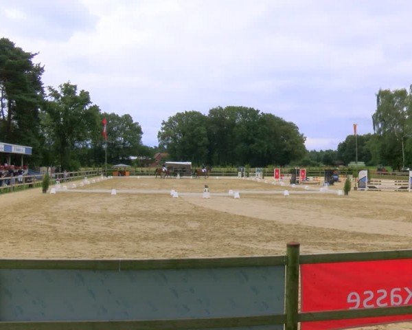 Reitturnier Metelen 2024
