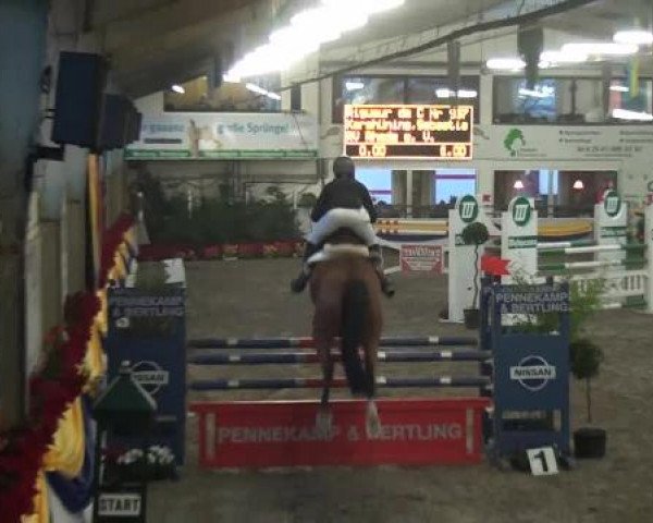 Reitturnier Vreden 2013