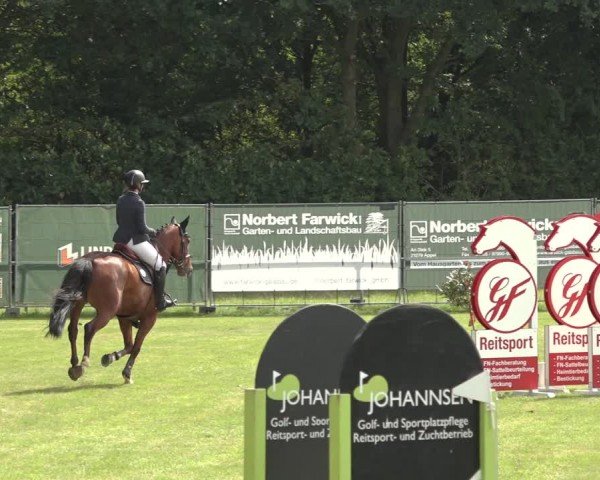 Reitturnier Wohlesbostel 2024