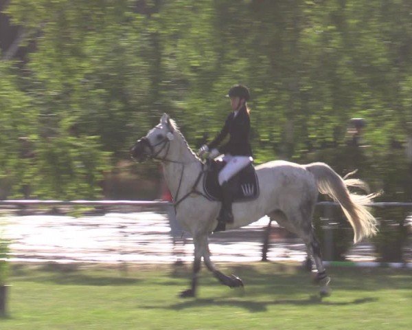 Reitturnier Niederwerbig 2024