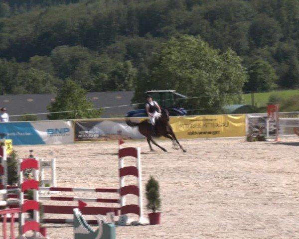Springturnier Seewalchen 2024