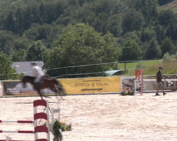 Springturnier Seewalchen 2024
