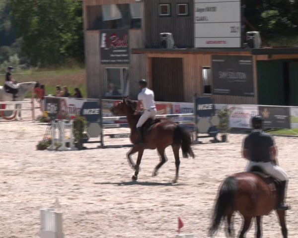 Springturnier Seewalchen 2024
