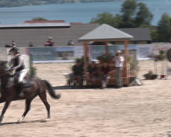 Springturnier Seewalchen 2024