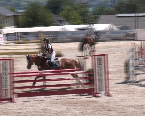 Springturnier Seewalchen 2024