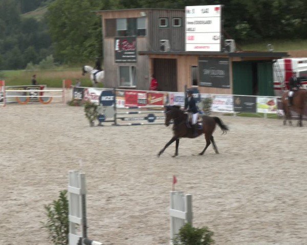 Springturnier Seewalchen 2024