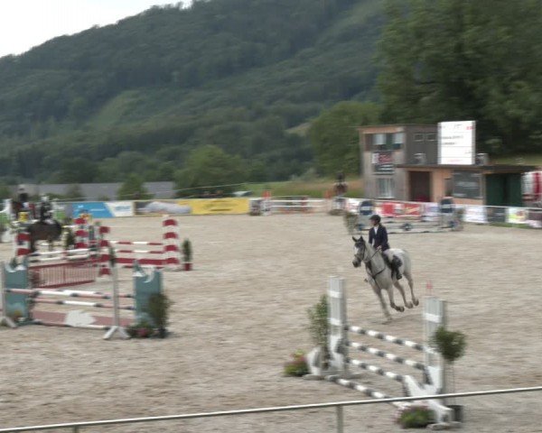 Springturnier Seewalchen 2024
