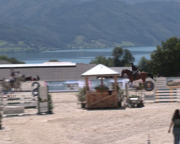 Springturnier Seewalchen 2024