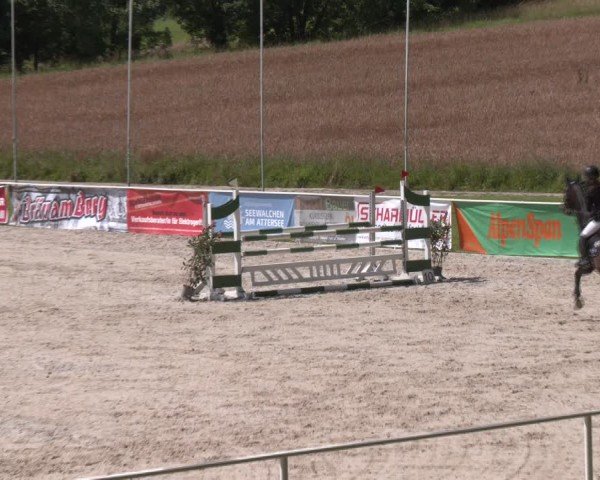 Springturnier Seewalchen 2024