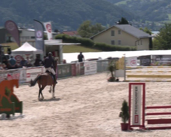 Springturnier Seewalchen 2024